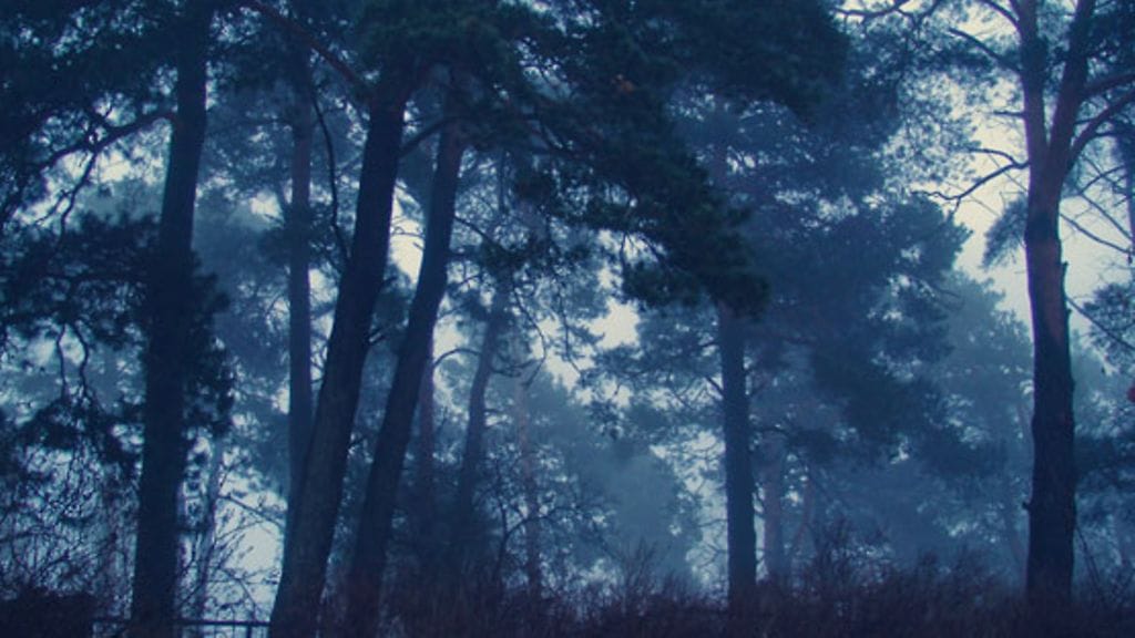 Kaijan tuomat viestit antavat lohtua läheisensä menettäneille.