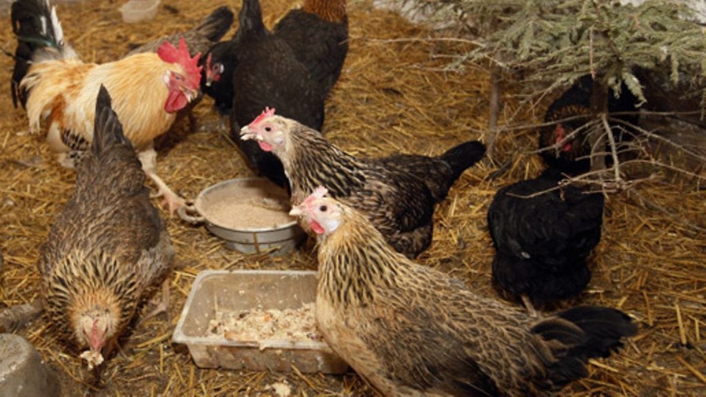 Lehtikuva/Pekka Sakki