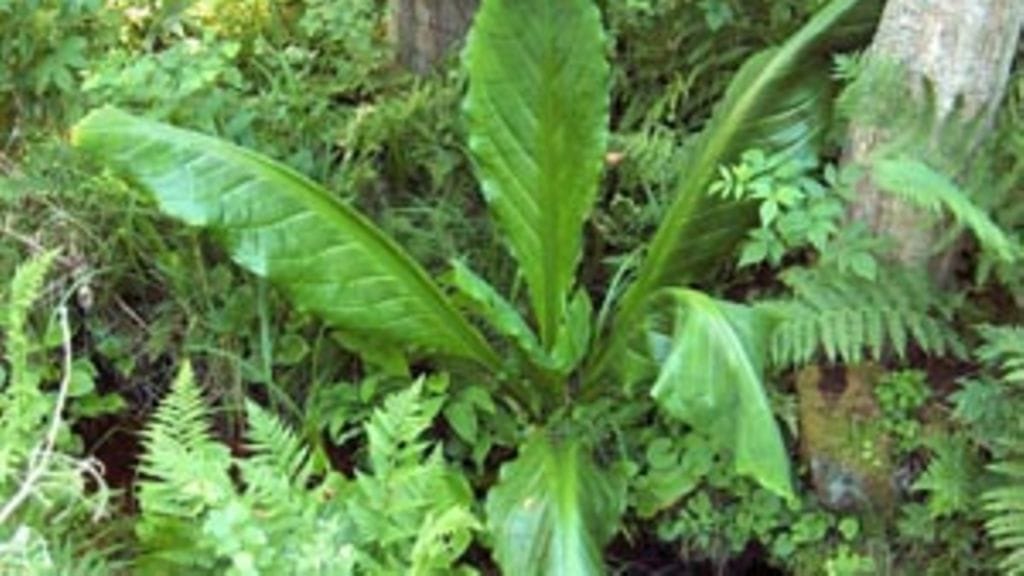 Kuva: Terhi Ryttäri