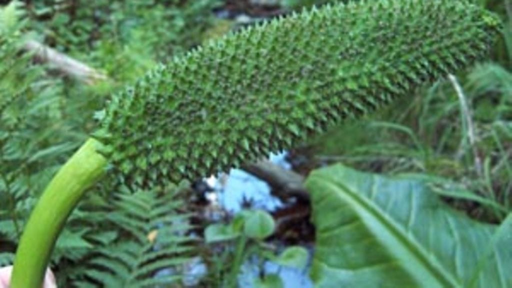 Kuva: Terhi Ryttäri