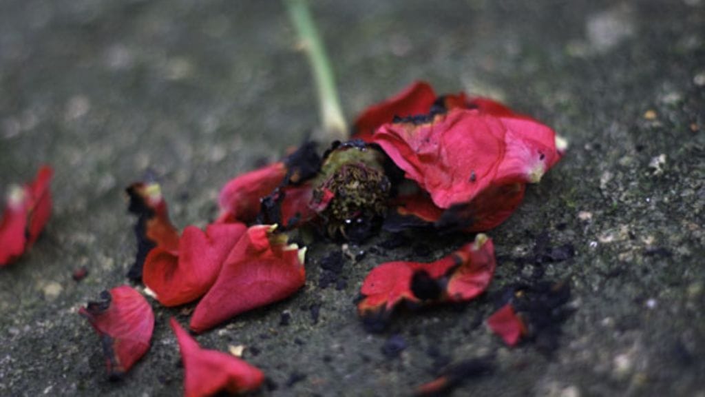 Boris ja Anna elivät vuosikymmeniä erossa.