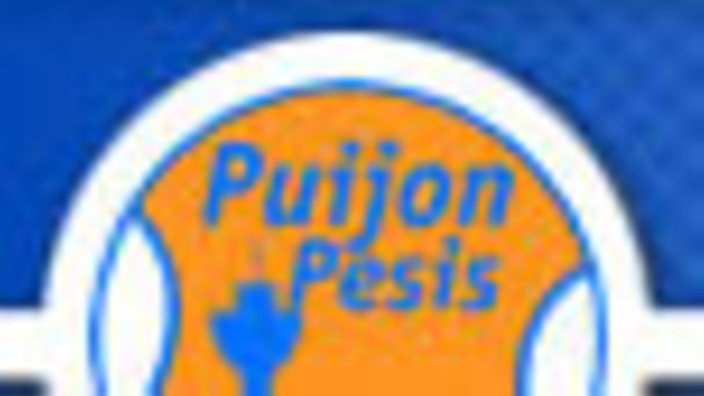 Puijon pesis