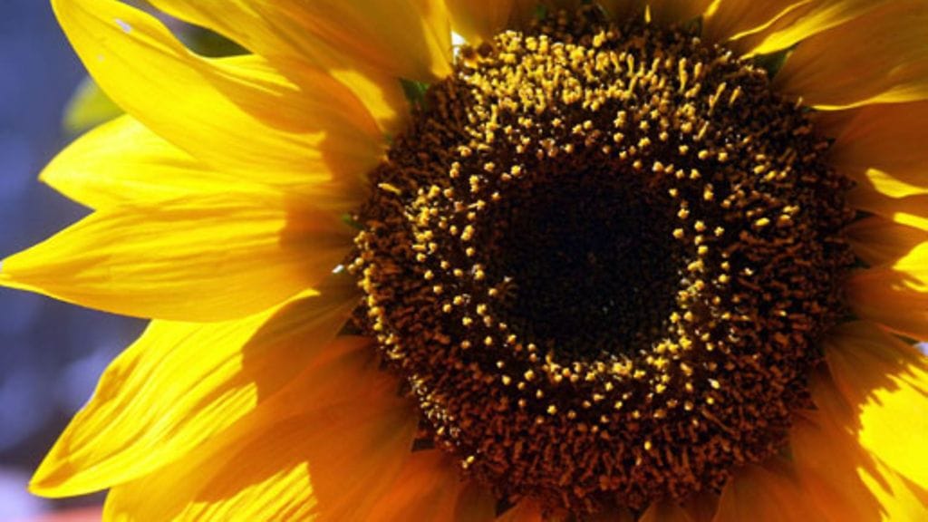 Lehtikuva/Jussi Nukari