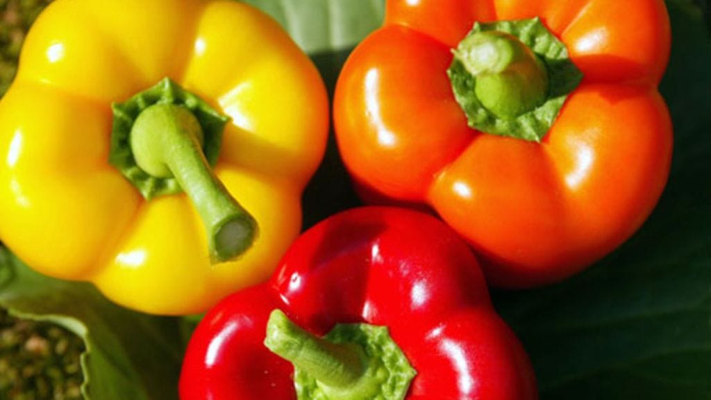 Lehtikuva/Marja Airio