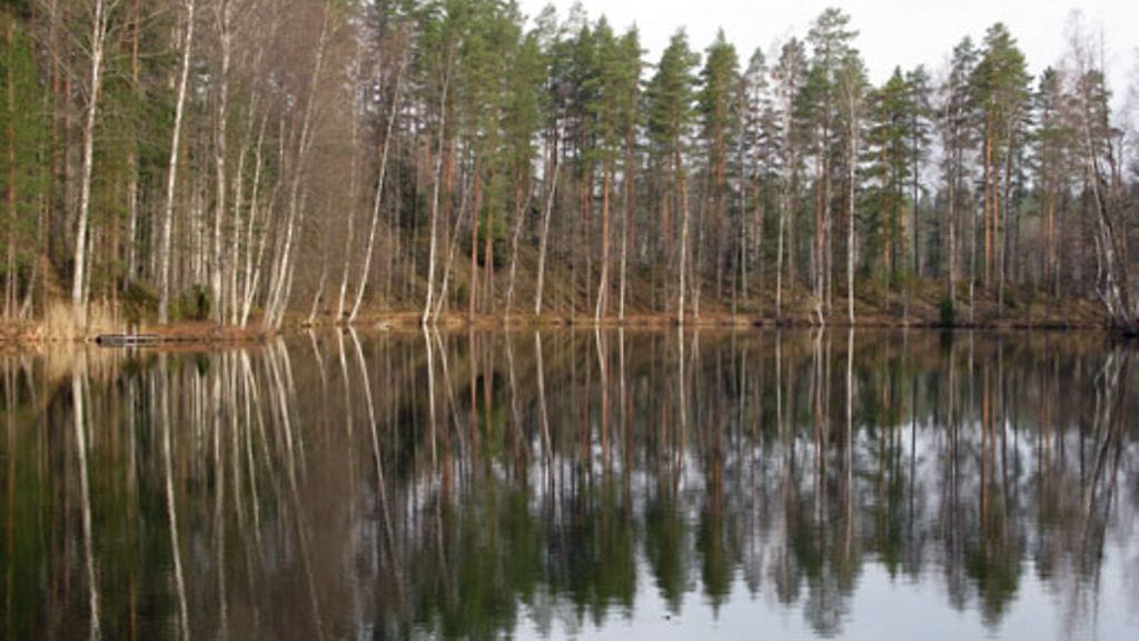 Lehtikuva/Sixten Johansson