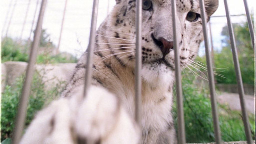 Lehtikuva/Jukka Ritola