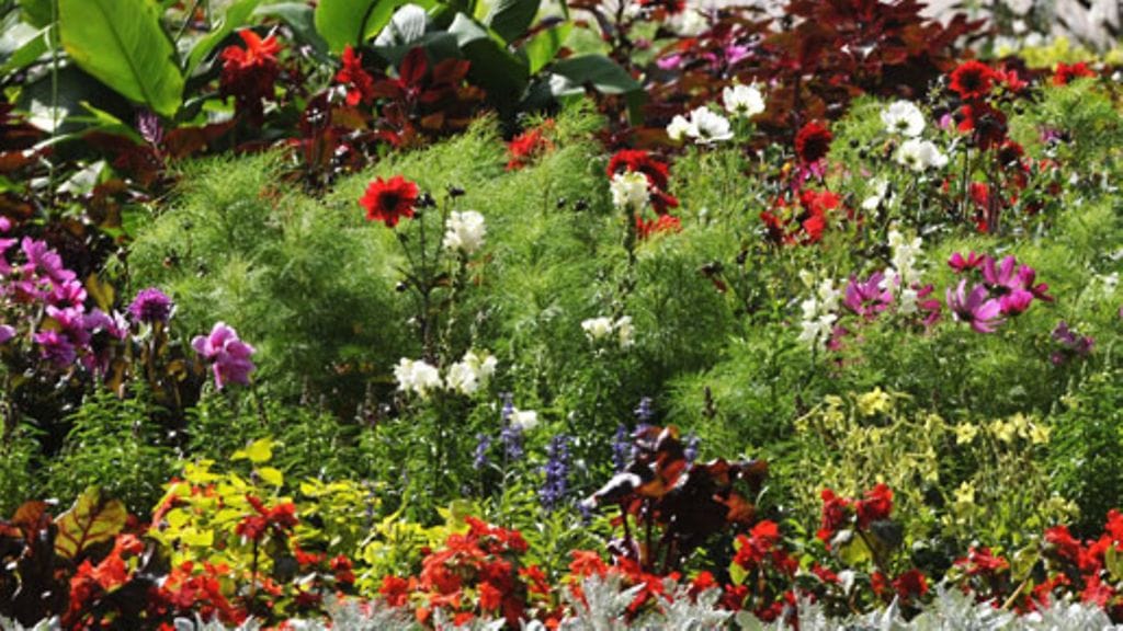 Lehtikuva/Vesa Moilanen