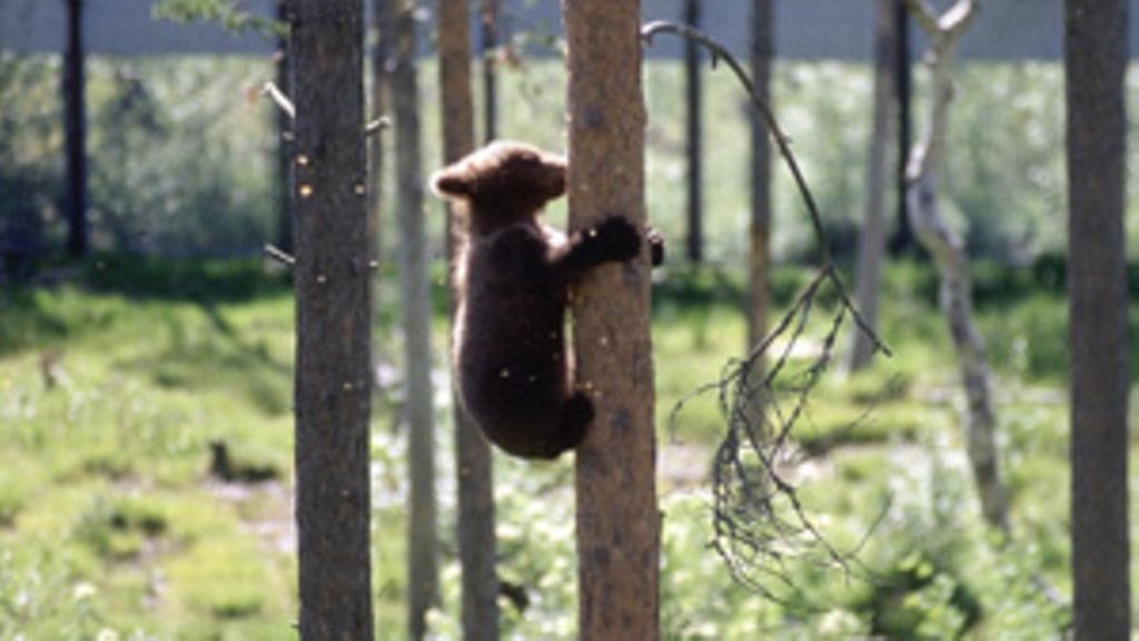 Lehtikuva/Heikki Sarviaho