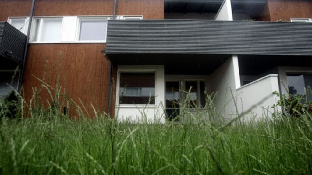 Hetkinen, ovatko Virtaset antaneet ruohonsa rehottaa liikaa? Suomalaisten naapurisopu vaatii joskus oikeuden väliintuloa.