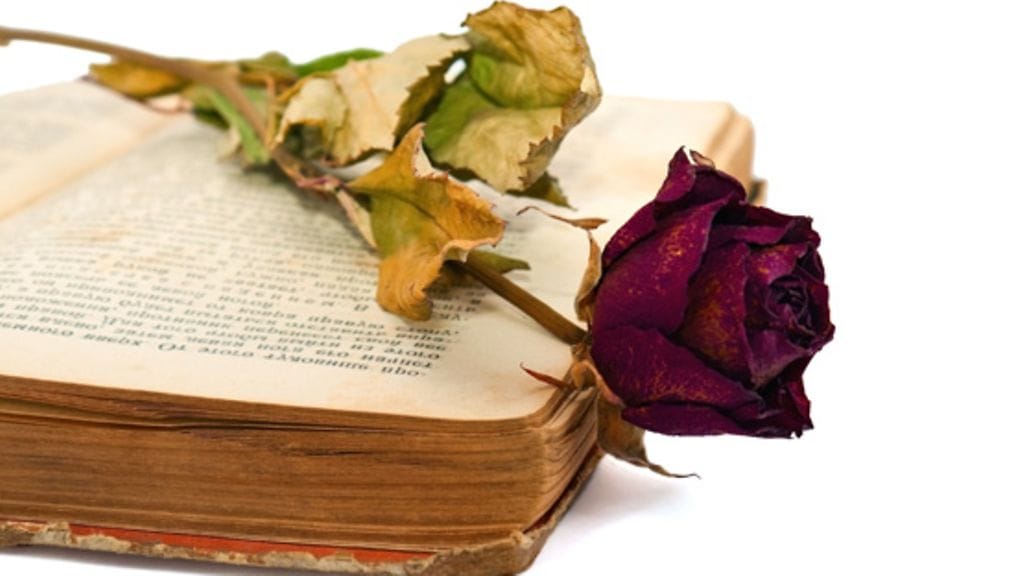 Kirjallisuudessa suuret tunteet eivät haalistu vuosisatojenkaan saatossa.