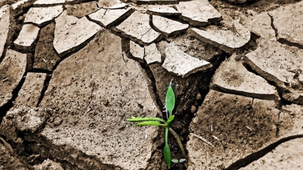 Professori Esko Valtaoja näkee ympäristöuhat vakavampina kuin avaruudesta tulevat tuhot.